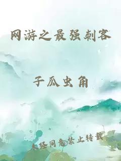 网游之最强刺客