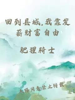 回到县城,我靠发薪财富自由
