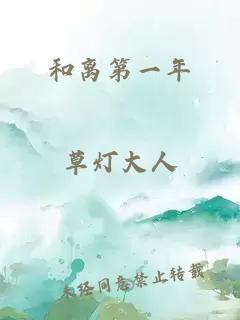 和离第一年