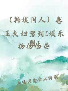 （韩娱同人）卷王夫妇驾到[娱乐圈]