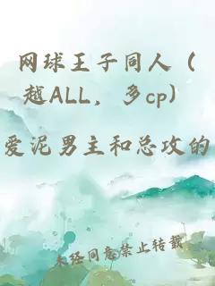 网球王子同人（越ALL，多cp）