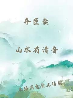 夺臣妻
