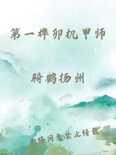 第一榫卯机甲师