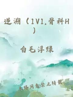 逆溯(1V1,骨科H)