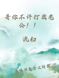 哥你不许打我老公!!