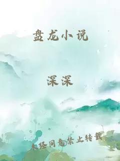 盘龙小说