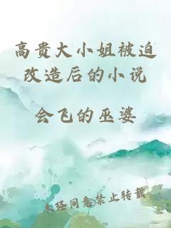 高贵大小姐被迫改造后的小说
