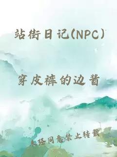 站街日记(NPC)