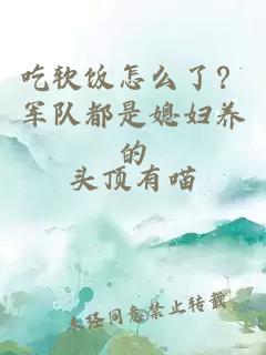 吃软饭怎么了?军队都是媳妇养的