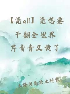 【瓷all】瓷想要干翻全世界