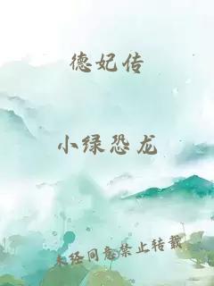 德妃传