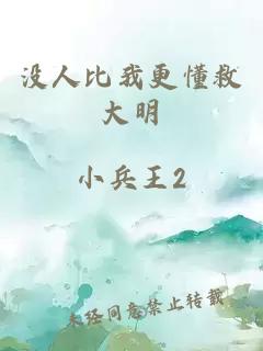 没人比我更懂救大明