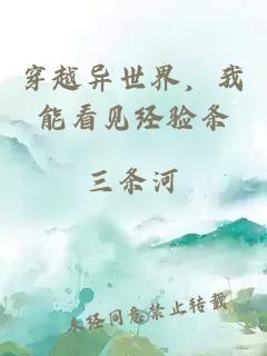 穿越异世界,我能看见经验条