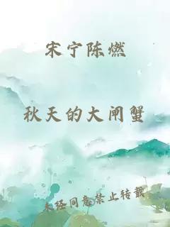 宋宁陈燃