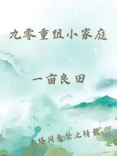 九零重组小家庭