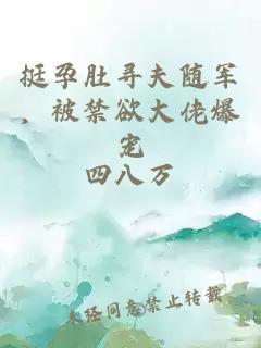 挺孕肚寻夫随军，被禁欲大佬爆宠