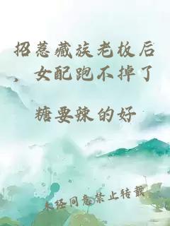 招惹藏族老板后,女配跑不掉了