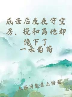 成亲后夜夜守空房,提和离他却跪下了
