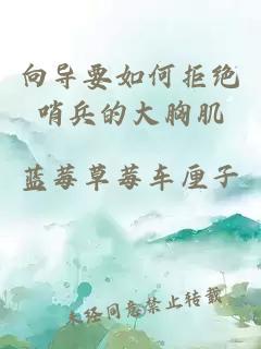 向导要如何拒绝哨兵的大胸肌