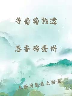 等葡萄熟透