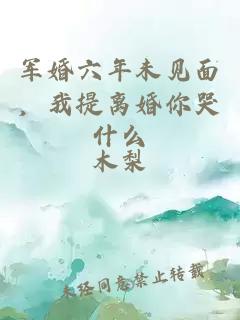 军婚六年未见面,我提离婚你哭什么