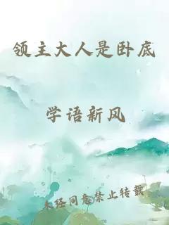 领主大人是卧底