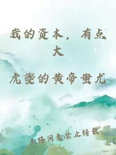 我的资本,有点大
