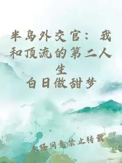 半岛外交官:我和顶流的第二人生