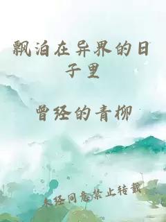 飘泊在异界的日子里