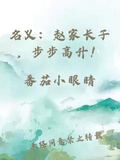 名义：赵家长子，步步高升！