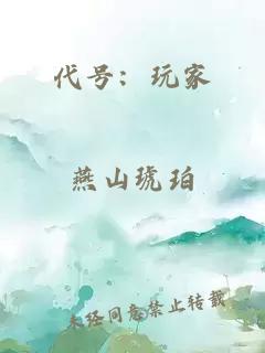 代号:玩家