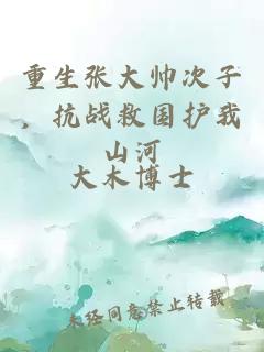 重生张大帅次子，抗战救国护我山河