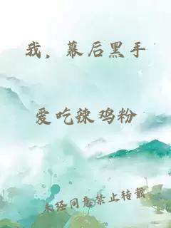 我，幕后黑手