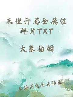 末世开局全属性碎片TXT