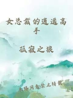 女总裁的逍遥高手