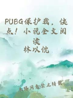 PUBG保护我,快点!小说全文阅读