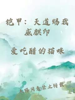 铠甲:天道赐我威麒印