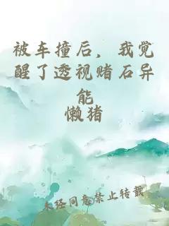 被车撞后,我觉醒了透视赌石异能