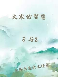 大宋的智慧