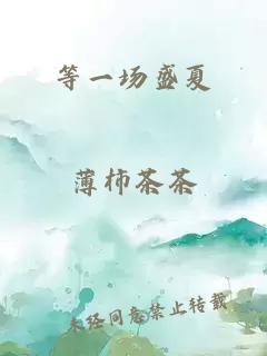 等一场盛夏