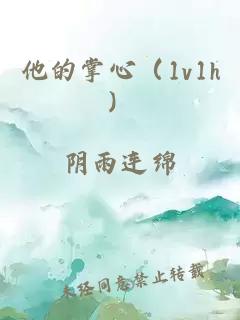 他的掌心(1v1h)