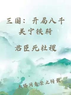 三国:开局八千关宁铁骑