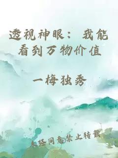 透视神眼：我能看到万物价值