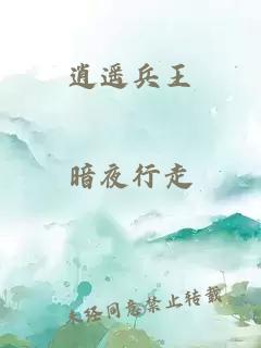 逍遥兵王