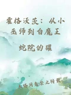 霍格沃茨：从小巫师到白魔王