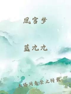 凰宫梦