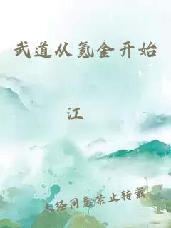 武道从氪金开始