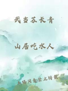 武当苏长青