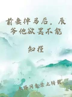 前妻掉马后，辰爷他欲罢不能