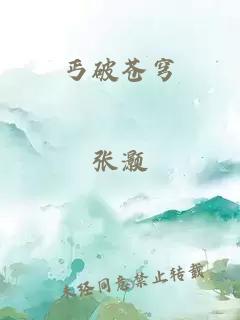 丐破苍穹